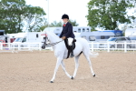 SBM_10132