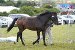 DSC05687