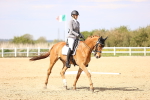 SBM_008441