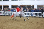 SBM_004694