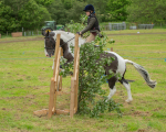 Dunblane show-141