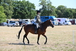 WJ6_8357