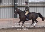 JAC_3506