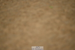 230409A-103322-00318