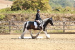 SBM_000817