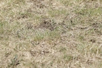 BVHT 140517 N-228