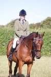 Class 14 - Ex Racehorse portfolio