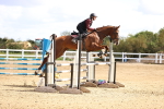 SBM_003639