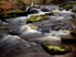 River Rivelin (02)