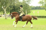 SBM_72120