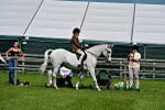 SBM_03708