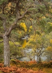 Glen Strath Farrar