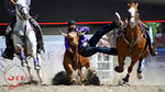 3HRodeo_CFD_JUL_19_2026_03052