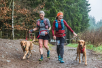 Glentress-698