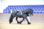SBM_5267