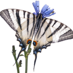 ITA_PHD_20120808-044