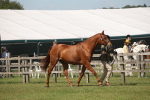 SBM_09064