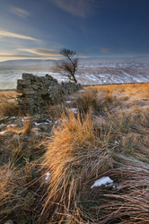 Yorkshire Dales portfolio