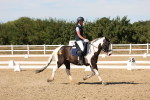 SBM_003704