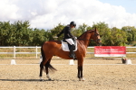 SBM_003653