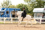 SBM_15899