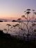 Portrait sunrise view of Meadfoot