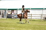 SBM_15639
