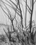 Bogland Matter 27, 16cm x 20cm