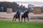 140826-Race 6-Recobella-1714
