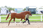 SBM_04453