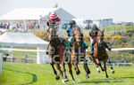 Guernsey Race Club Horse Racing 2018-34