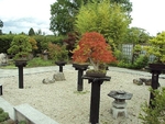RHWI DSC00362