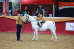 SBM_05222