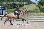 BPP_3475