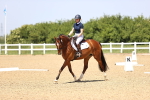 SBM_009015