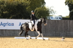 SBM_28544