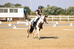SBM_003042