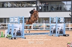 BPP_5320