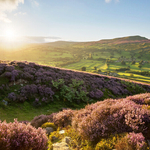 Maiden Castle Swaledale