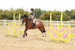 SBM_007294
