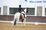 SBM_003577