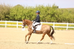 SBM_008467