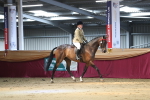 SBM_02961