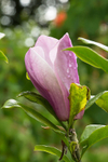 20140526-3K8A1787