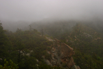 In the clouds