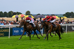 290826-Race 5-Supreme Clarets-7392