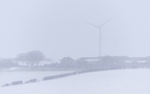 Winter Turbine.
