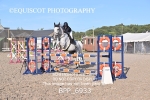 BPP_6933