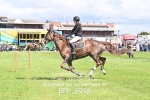 CLASS 2 - CLASS 2 RON BRADY RHS CLASSIC QUAL portfolio