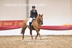 BPP_8444